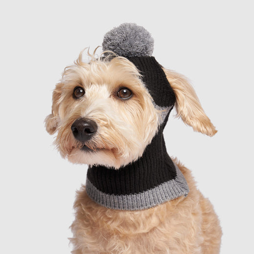 Canada Pooch Bandit Hat - Main Image
