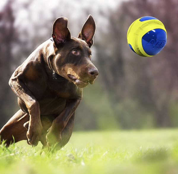 Nerf Mega Tuff Ball Cascadia Natural Pet Supply