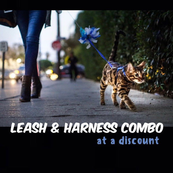 Surfer Cat Leash and Harness Combo - Main Image