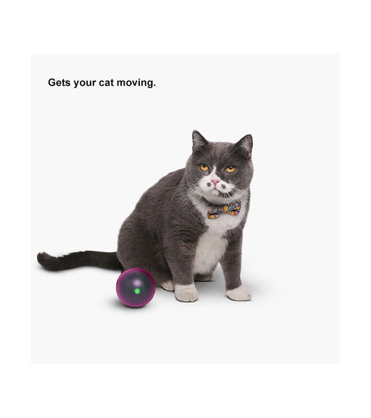 pidan "Dodging Ball" Electronic Cat Interactive Toy
