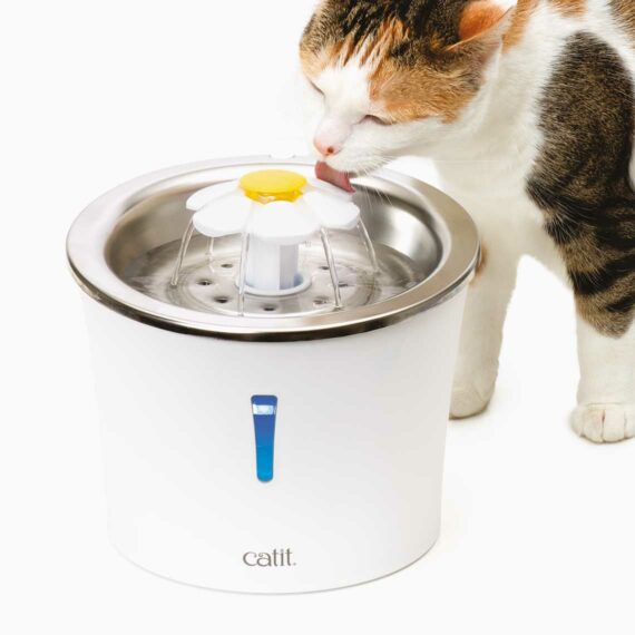 Trinkbrunnen für Katzen, Flower Fountain 3L (Gebraucht) in Schüpfen für CHF 18 – nur Abholung Trinkbrunnen für Katzen, Flower Fountain 3L (Gebraucht) in Schüpfen für CHF 18 – nur Abholung