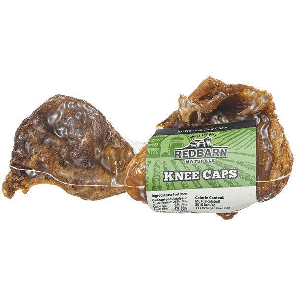 Knee cap dog bones best sale