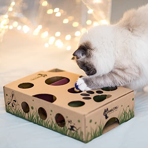 Diy Cat Puzzle Feeder Cat Puzzle Box Cat Toy Box Diy Cat Amazing