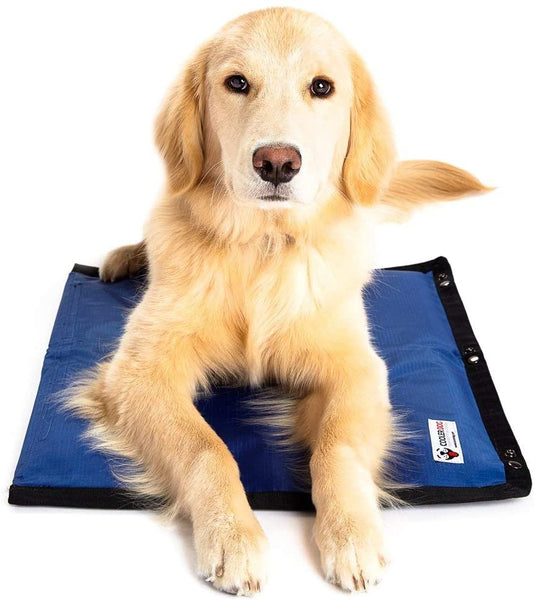 Cooler Dog Cooling Mat