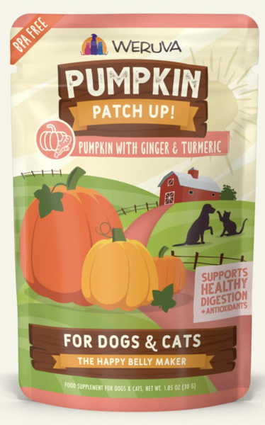 Weruva pumpkin best sale patch up