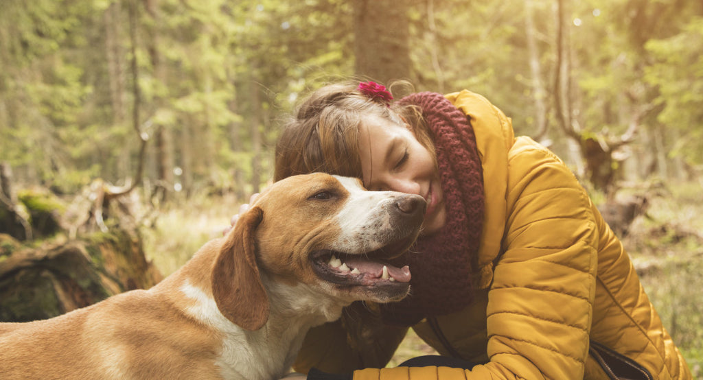 Pet Food And Treats Raw Dog Food Vancouver Raw Cat Food Cascadia