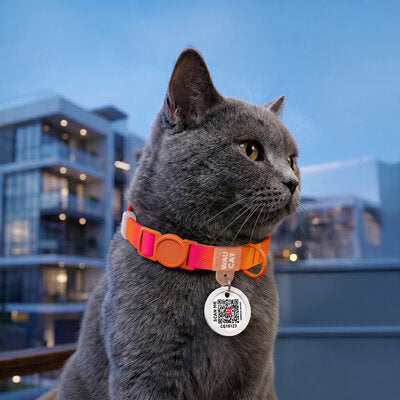 WAUCAT Recyled Nylon Collar with QR Code