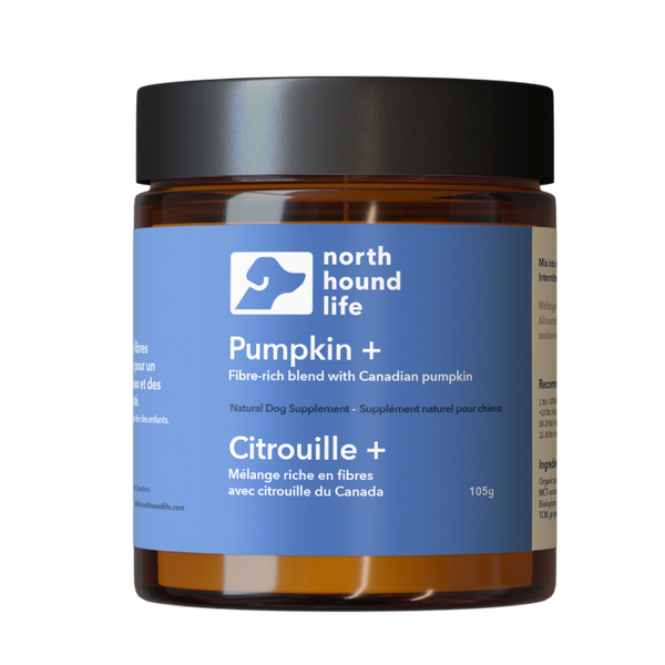 Pumpkin+ | Fibre-rich Pumpkin Blend
