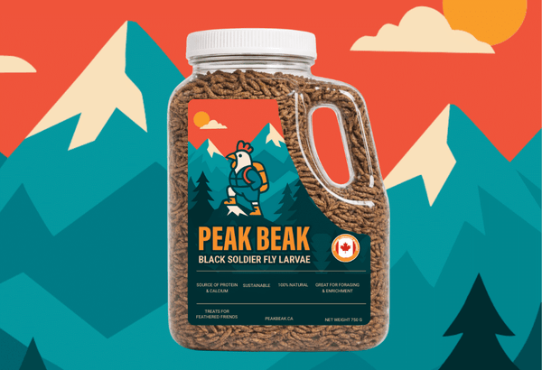 Peak Beak Dried Whole Black Soldier Larvae