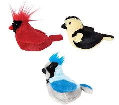 SPOT Songbirds