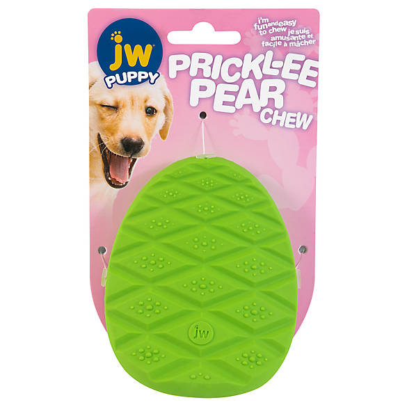 Prickly Pear Puppy Teether Toy