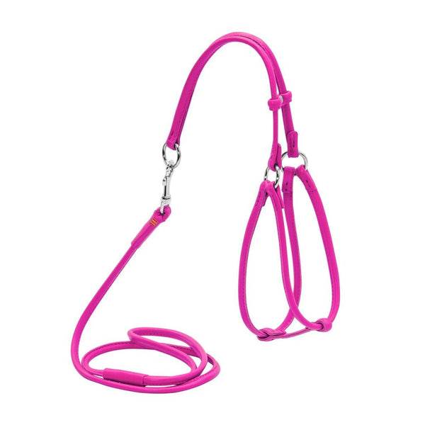 Dog
Collar Harness WAUDOG Glamour round with a lead for cats and small dogs