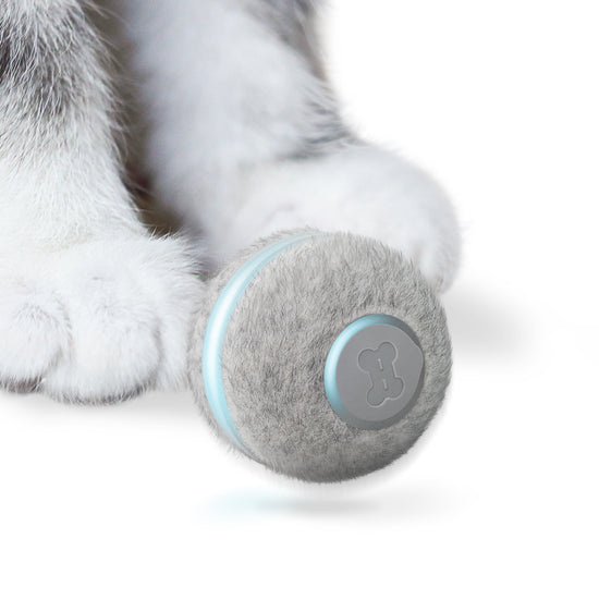 Cheerble Interactive Cat Ball