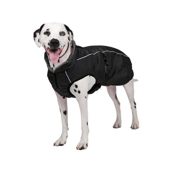 Shedrow Chinook Dog Coat