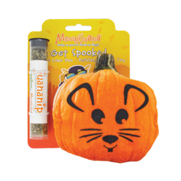 Meowijuana Get Spooked Pumpkin