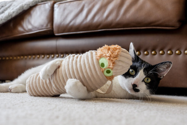 Feline Frenzy Catnip Kicker Mummy