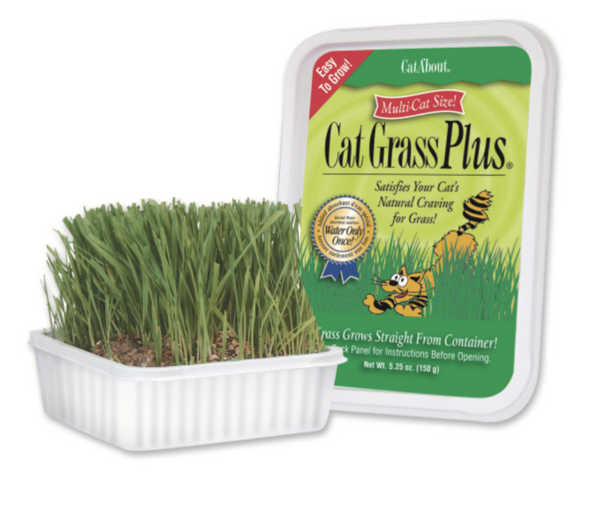 Miracle Care Cat Grass Pluss