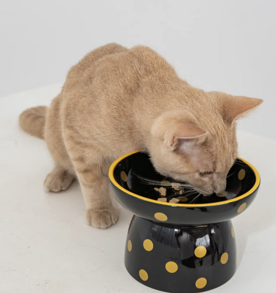 Cat Ceramic Bowl - Black & Gold Metallic Polka Dot