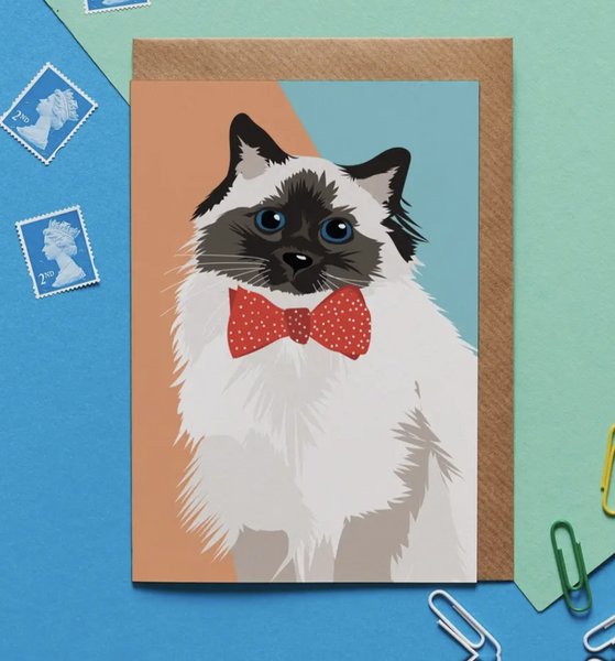 Meg the Fluffy Cat Greeting Card