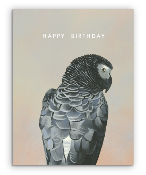 African Grey Birthday Card