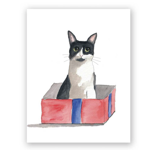 Box Cat Birthday Greeting Card
