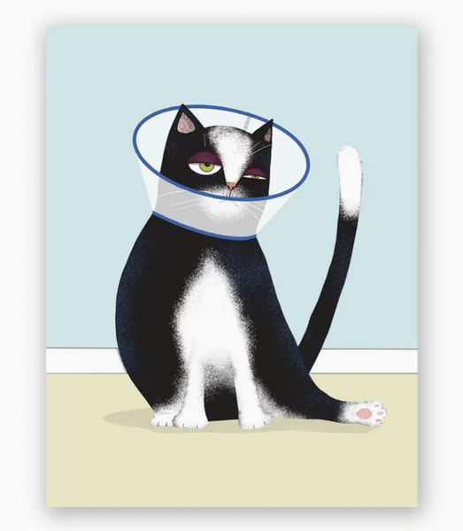 Cone Cat Get Well Greeting Card
