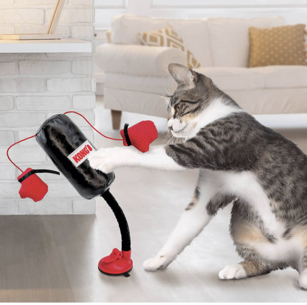 Kong Connects Cat Boxing