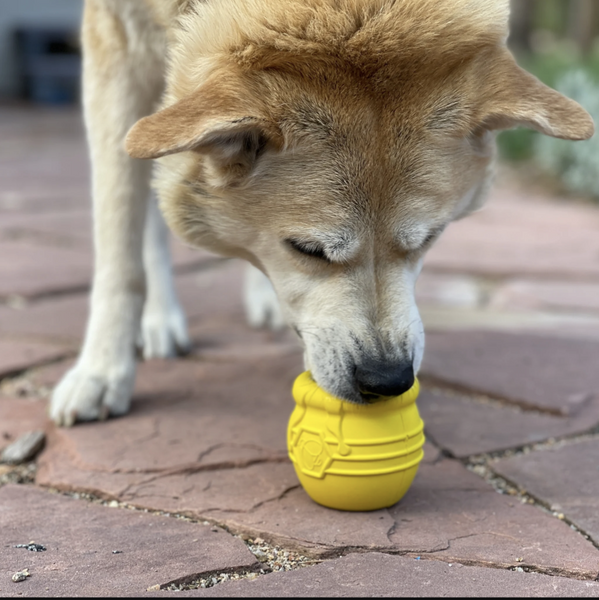 Honey Pot Soda Pup Large