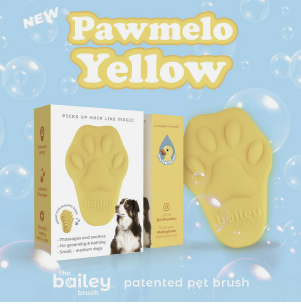 Bailey Brush Silicone Brush for Cats