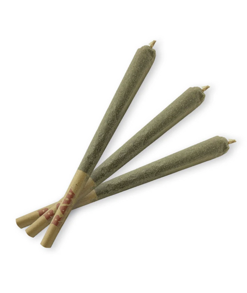 Meowijwanna Catnip Filled Joints 3 Pack