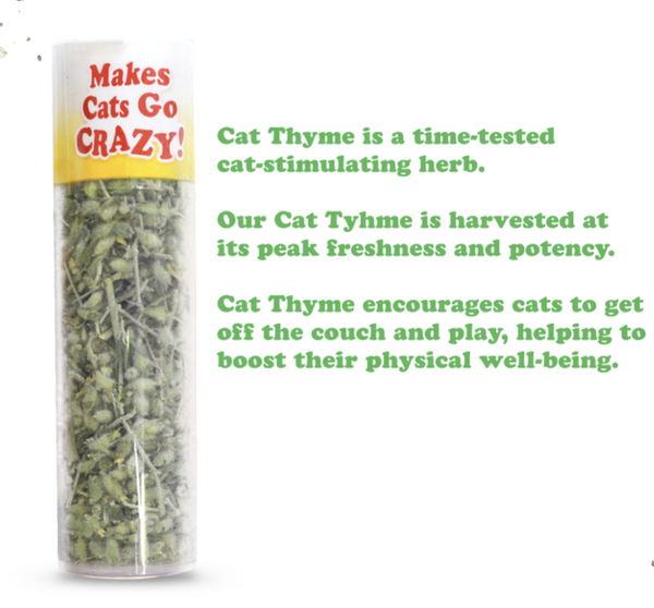 Meowijwanna Cat Thyme