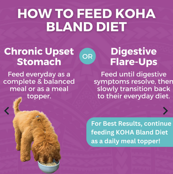 Koha Bland Diet 12.5oz