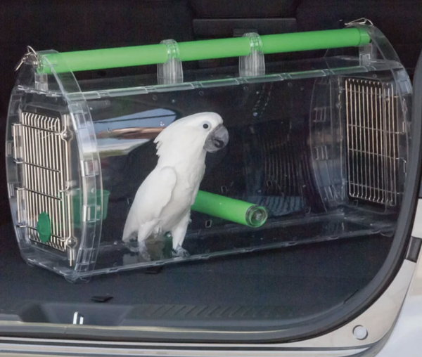 Caitec perch n go polycarbonate bird carrier best sale