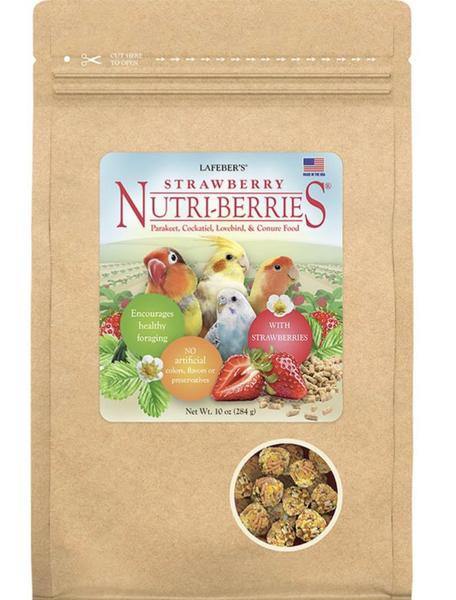 Limited Edition Strawberry Nutri-Berries for Small Birds 10oz