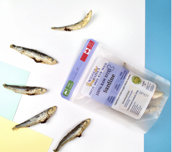 Wiggly Babies Freeze Dried Sardines