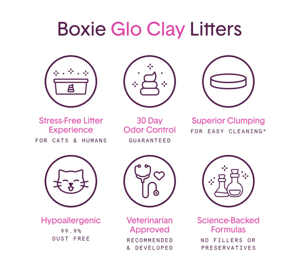 Boxie Cat Glo Clay 16lbs