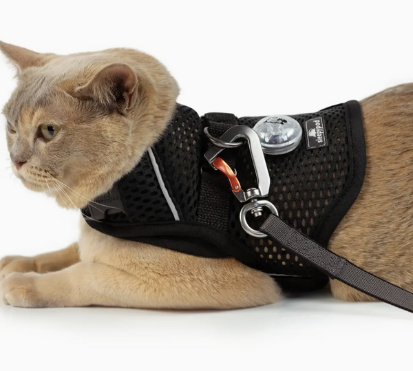 Martingale Cat Harness - Walking Harness (Bundle)