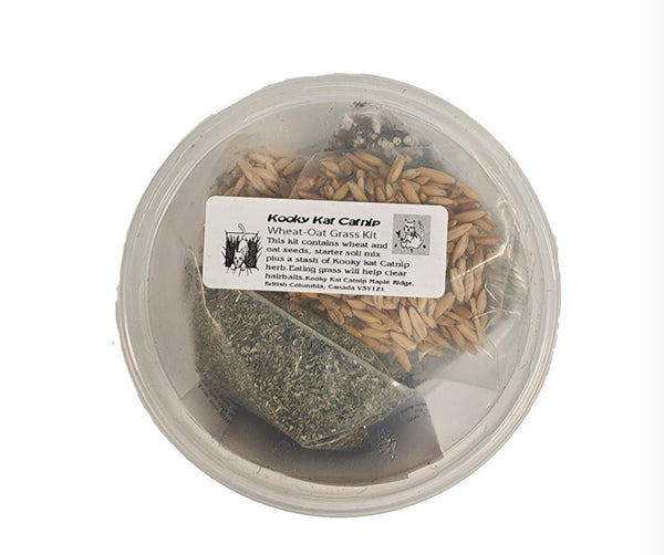 Kooky Kat Grow Your Own Oat and Wheat Grass