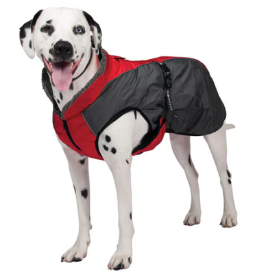 Shedrow Chinook Dog Coat