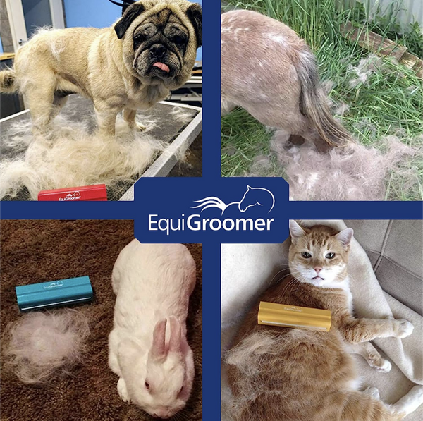 Equigroomer Easy Groomer