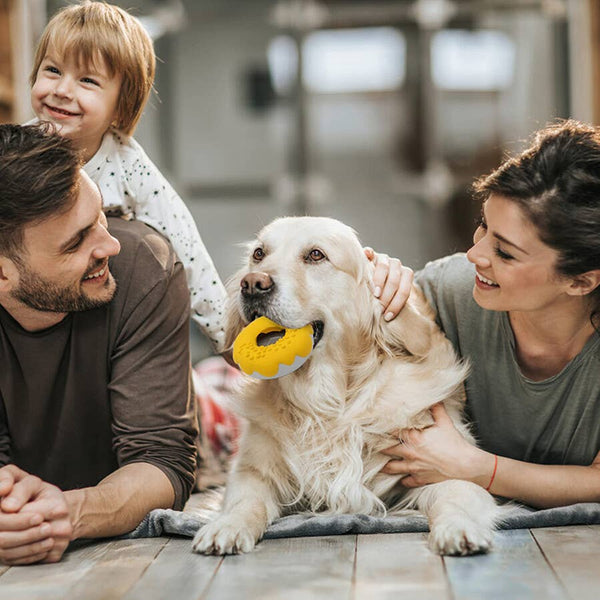 Pet-Fun Donut Dog Toy