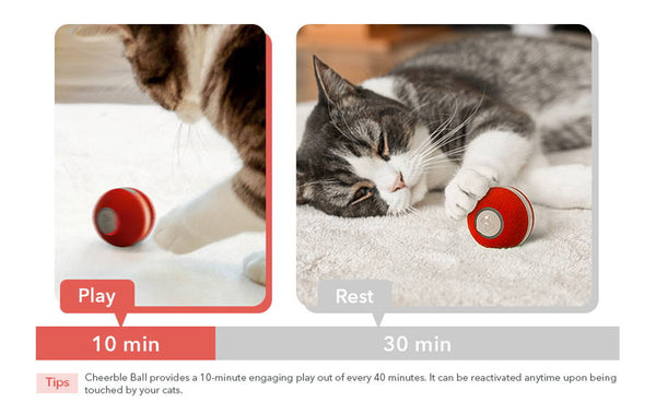 Cheerble Interactive Cat Ball