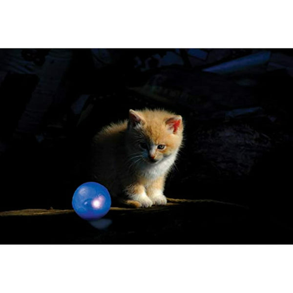 Catstages Twinkle Ball Purple
