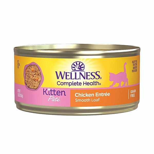 Wellness Kitten Pate 5.5oz