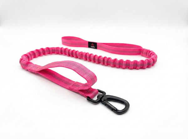 Premium K9 Tactical Leash