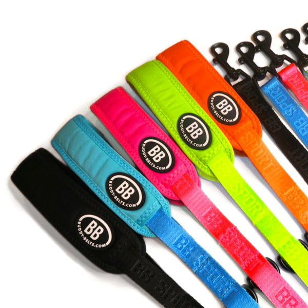 Buddy Belt Sport Vibrant Leash 1/2" x 4'