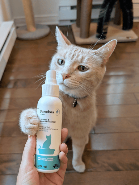 Purodora Litter Box Odor Neutralizer