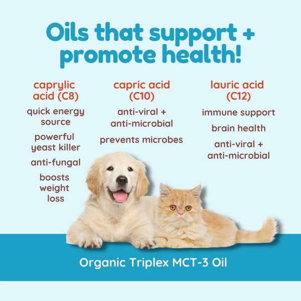 COCO Therapy MCT 3 Oil 8oz