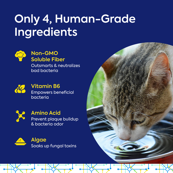 Protektin30™ 
Prebiotic Dental Powder for Cats 30g
