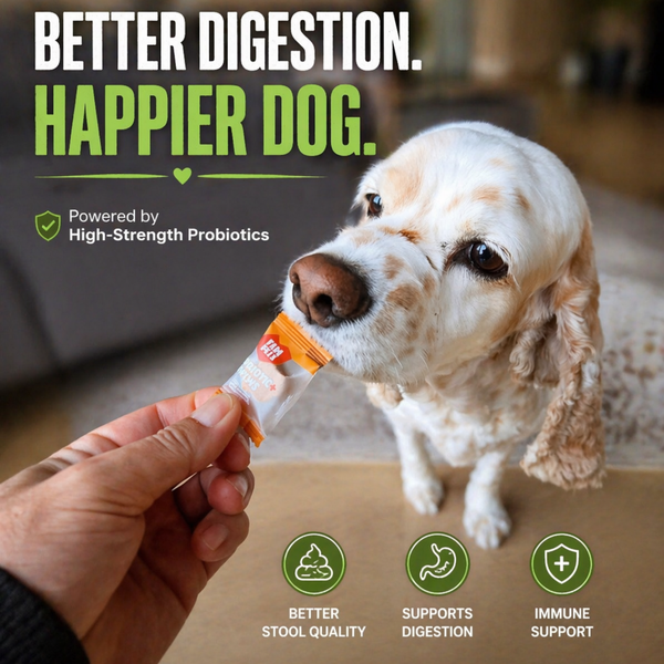 Fampets Probiotic Chews